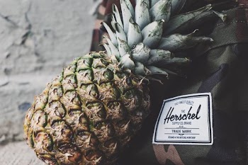 pineapple near Hershcel bag