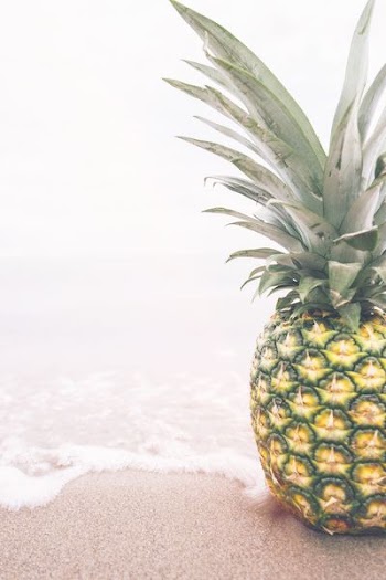 pineapple near seashore