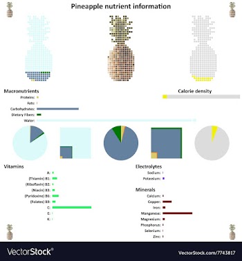 Pineapple nutrient information vector image