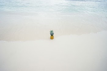 pineapple on white sand seashore