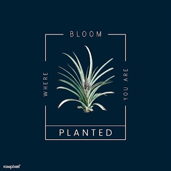 Pineapple plant badge | Free stock vector - 544941