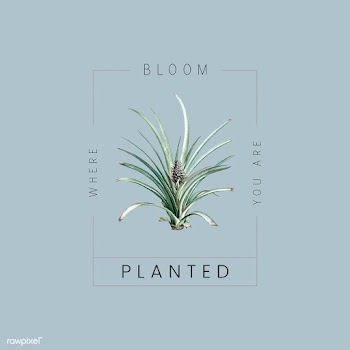 Pineapple plant badge | Free stock vector - 544961