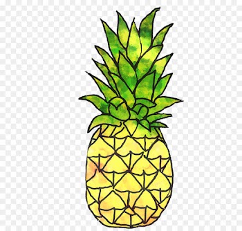 Pineapple, Plant Stem, Flowerpot, Ananas PNG