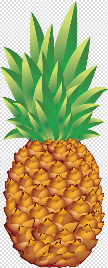Pineapple Png Image Download
