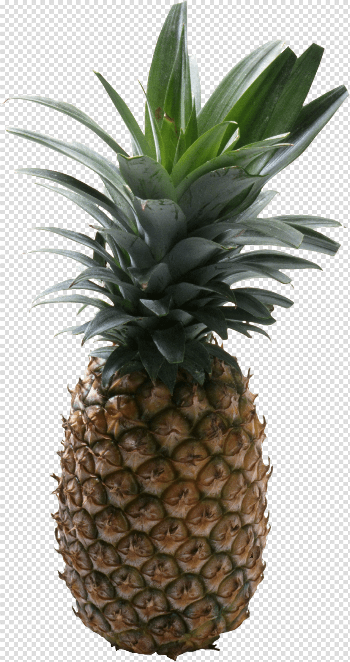 Pineapple PNG Images Transparent Free Download | PNGMart.com