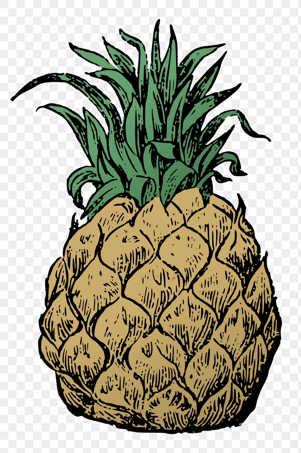 Pineapple png sticker, vintage fruit | Free PNG - rawpixel