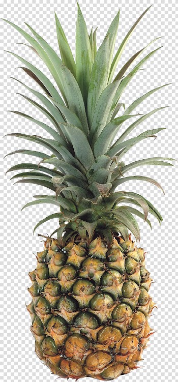 Pineapple Upside-down cake Tropical fruit Food, pineapples transparent background PNG clipart