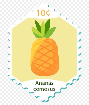 Pineapple Vector graphics Image Portable Network Graphics Design - about stamp 