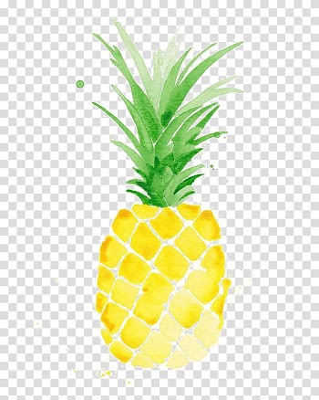 Pineapple , Watercolor painting Pineapple Drawing Printmaking, Hand-painted pineapple transparent background PNG clipart