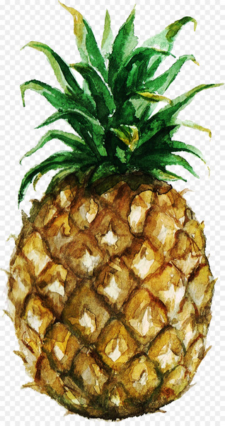 Pineapple Watercolor painting Royalty-free Stock photography - Illustration pineapple 