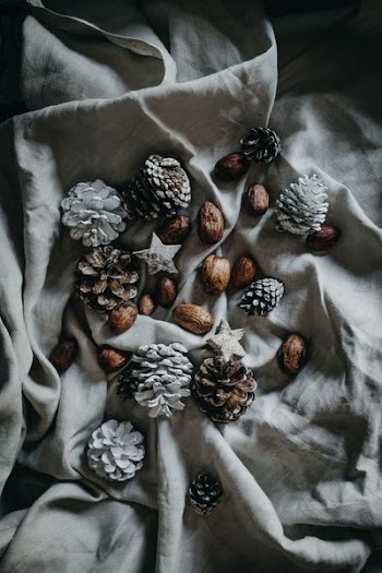 pinecone and nut on top of blanket