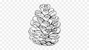 Pinecone Clipart - Pinecone Coloring Page