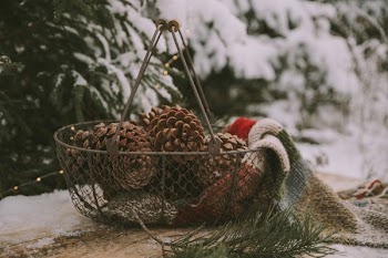 pinecones in basket