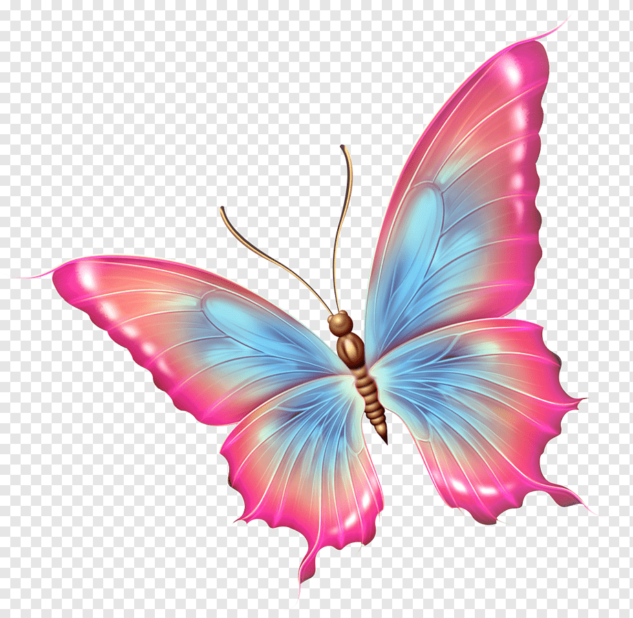 pink and blue butterfly art, Butterfly Insect, dragonfly, brush Footed Butterfly, decoupage, insects png