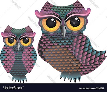 Pink and Blue Color Owl vector image
