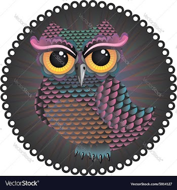 Pink and Blue Color Owl2 vector image