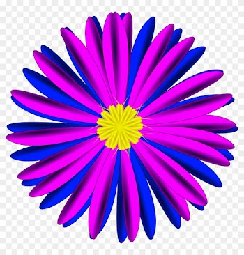 Pink And Blue Flower