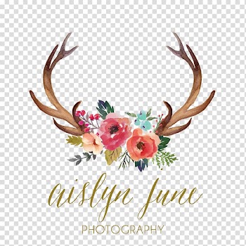 Pink and brown flowers, Deer Antler Watercolor painting , rustic transparent background PNG clipart