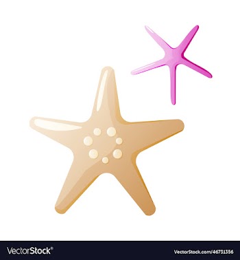 pink and brown starfishes