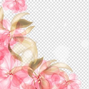 Pink and green flowers illustration, Flower Drawing , Beautiful flowers background, material transparent background PNG clipart