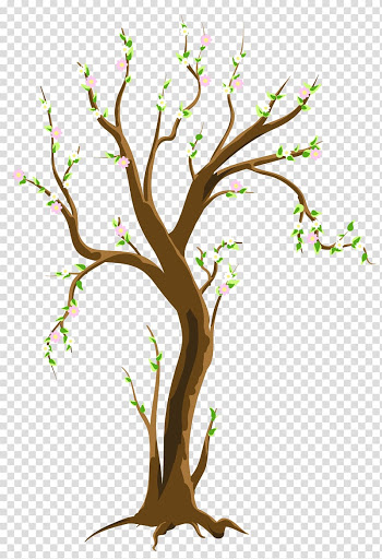 Pink and green leafed tree illustration, Tree Spring , Spring Tree transparent background PNG clipart