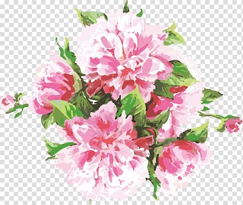 Pink and green peony flowers illustration, Ink Euclidean , Ink Flower transparent background PNG clipart