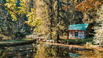 Pink and Green Wooden House