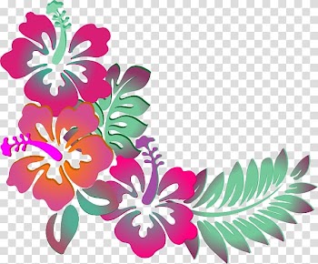 Pink and orange hibiscus flowers border art, Hawaiian hibiscus Shoeblackplant Flower , watercolor tropical flowers transparent background PNG clipart