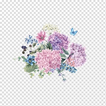 Pink and purple flowers , Hydrangea Flower Watercolor painting Illustration, Butterfly flowers hand painted free to pull transparent background PNG clipart
