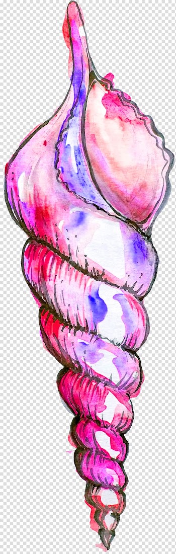 Pink and purple seashell , Drawing Watercolor painting Illustration, Ocean Beauty fish tail transparent background PNG clipart