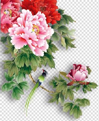 Pink and red flowers, China Paper Moutan peony, Peony flowers transparent background PNG clipart