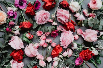 Pink and red flowers flat lay