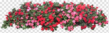 Pink and red flowers , Flower garden Grow light Raised-bed gardening, balcony transparent background PNG clipart