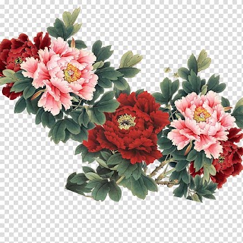 Pink and red flowers, Moutan peony Flower , peony transparent background PNG clipart