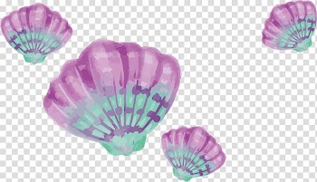 Pink and teal clam shell illustration, Watercolor painting Drawing , Watercolor purple shells transparent background PNG clipart