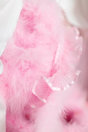 Pink and White Feather on White Table · Free Stock Photo