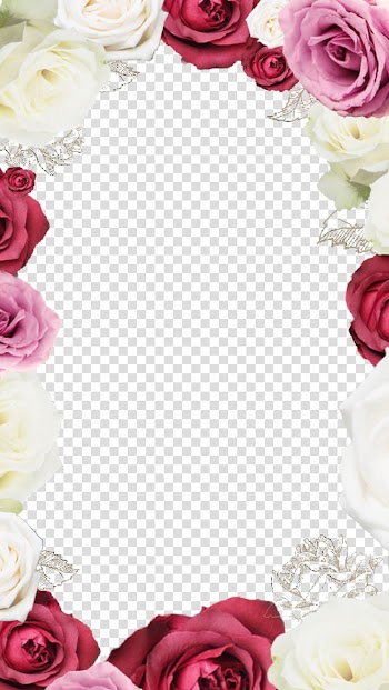 Pink and white floral , Garden roses Beach rose Flower frame, Rose Border Frame transparent background PNG clipart