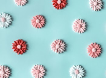 Pink and White Flower Decor Lot on Green Surface