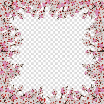 Pink and white flowers frame, Cherry blossom, Pale cherry blossom border transparent background PNG clipart