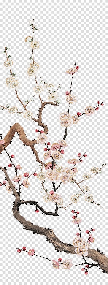 Pink and white flowers illustration, Cherry blossom Plum blossom Flower, Plum flower transparent background PNG clipart