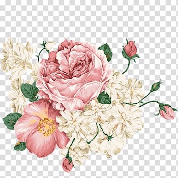Pink and white flowers illustration, Flower Peony, flower transparent background PNG clipart