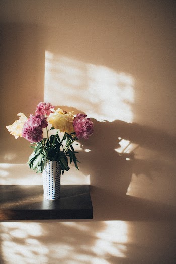 Pink and White Flowers on Vase