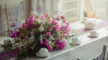 Pink and White Petaled Flower