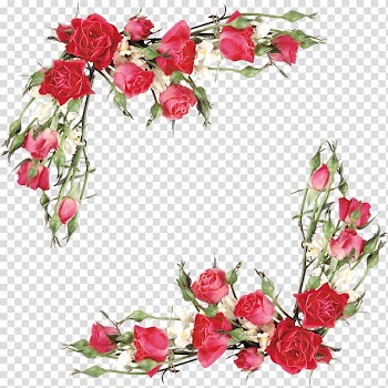 Pink and white petaled flowers illustration, Rose Flower bouquet Euclidean , Rose transparent background PNG clipart