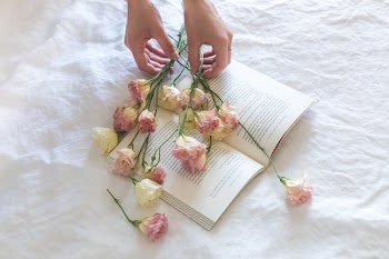 Pink-and-white Roses on Top of Open Book Nestled on White Textile