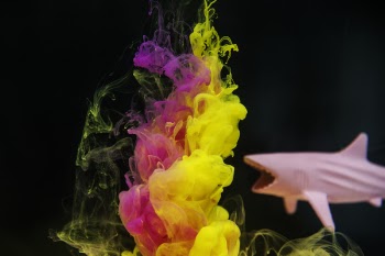 Pink and Yellow Ink Underwater Art Beside Shark Toy