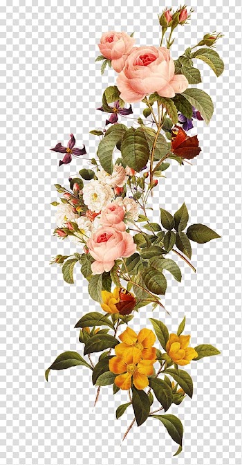Pink and yellow petaled flowers, Flower, Beautiful flowers transparent background PNG clipart