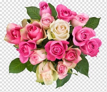 Pink and yellow rose flower illustration, Flower bouquet Rose Cut flowers, flower transparent background PNG clipart