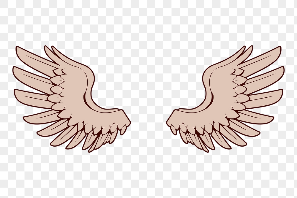 Pink angel wings png sticker | Free PNG - rawpixel