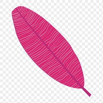 Pink banana leaf png clip | Free PNG Illustration - rawpixel